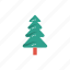 christmas, fir, nature, park, tree 
