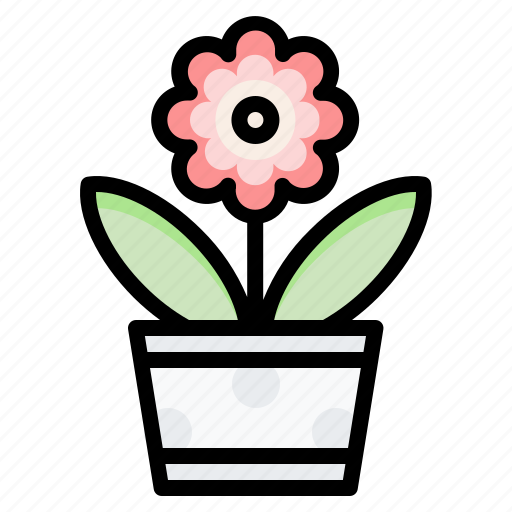 Flower, beautiful, plant, christmas, blossom icon - Download on Iconfinder