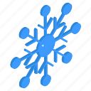 snowflake, snow crystal, snowfall, frost, snow bunting