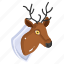 christmas deer, animal, reindeer, caribou, deer mount 