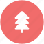 christmas tree, fir tree, forest, nature, pine, pine tree, tree 