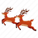 reindeer, santa, christmas, xmas, deer, snow, gift, animal, claus