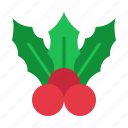 mistletoe, christmas, ornament, xmas, decorations, decoration, holly, tools