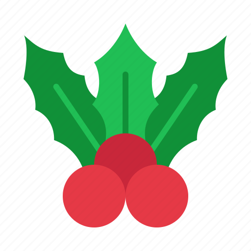 Mistletoe, christmas, ornament, xmas, decorations, decoration, holly icon - Download on Iconfinder