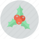 christmas, decoration, mistletoe, ornament