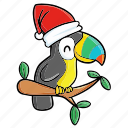 bird, colorful, xmas, christmas, celebration, santa, decoration