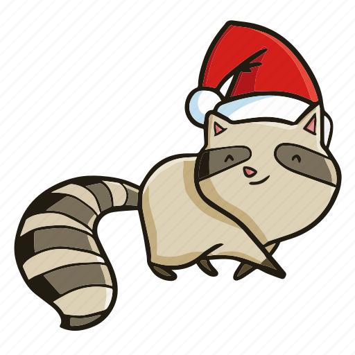 Racoon, xmas, christmas, decoration, santa, celebration icon - Download on Iconfinder