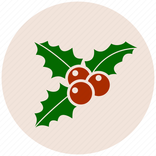 Decoration, christmas mistletoe, mistletoe, xmas, ornament icon - Download on Iconfinder