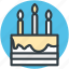 birthday cake, cake, cake with candles, celebration, christmas cake 