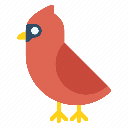 Red cardinal, cardinal, bird, wildlife, animal, avian, northern cardinal icon - Download on Iconfinder