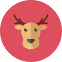reindeer, deer