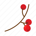 guelder, rose, winter, flat, icon, element, branch, christmas, plants