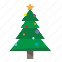 christmas, fir, plant, tree