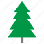 christmas, fir, forest, plant, tree 
