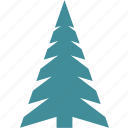 holiday, tree, christmas, winter