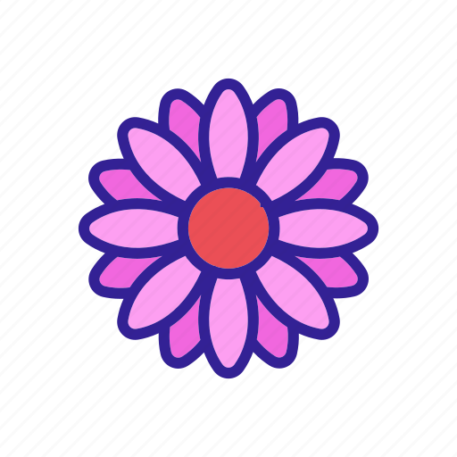 Blooming, bright, chrysanthemum, daisy, flower, flowering, outline icon - Download on Iconfinder