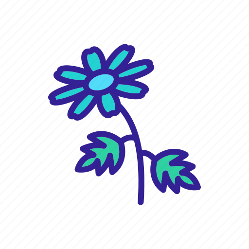 Chrysanthemum, daisy, flower, flowering, glass, marguerite, outline icon - Download on Iconfinder