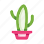 cactus, cacti, succulent, mexican, mexico, flower pot, plant 