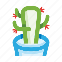 cactus, cacti, succulent, mexican, mexico, flower pot, thorns, plant
