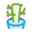 cactus, cacti, succulent, mexican, mexico, flower pot, thorns, plant 