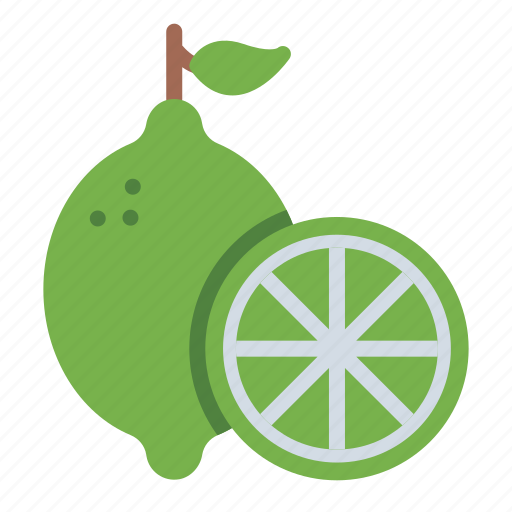 Lime, citrus, lemon, fruit, slice, nature, nutrition icon - Download on Iconfinder