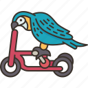 bird, parrot, show, pedal, animal