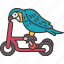 bird, parrot, show, pedal, animal 