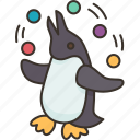 penguin, show, juggling, funny, animal