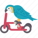 bird, parrot, show, pedal, animal