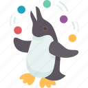 penguin, show, juggling, funny, animal