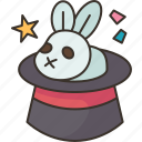 rabbit, bunny, magic, show, cute