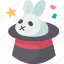 rabbit, bunny, magic, show, cute 
