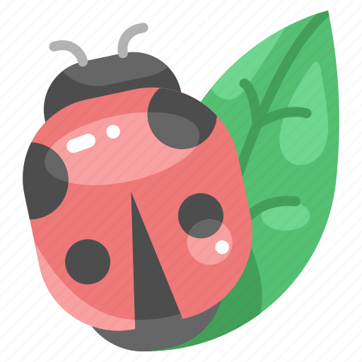 Animals, bug, insect, ladybird, ladybug, leaf, nature icon - Download on Iconfinder