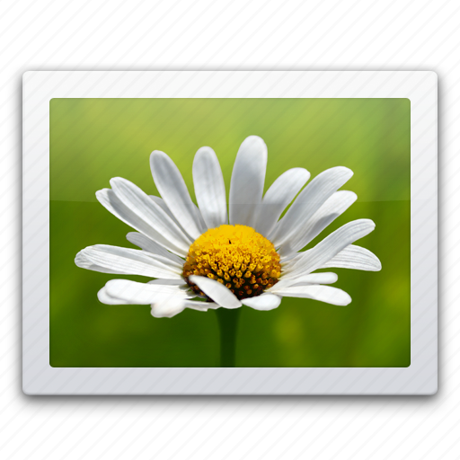 Pictures, photography, picture, media, photos, photo, image icon - Download on Iconfinder