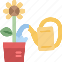 plant, flower, pot, watering, gardening