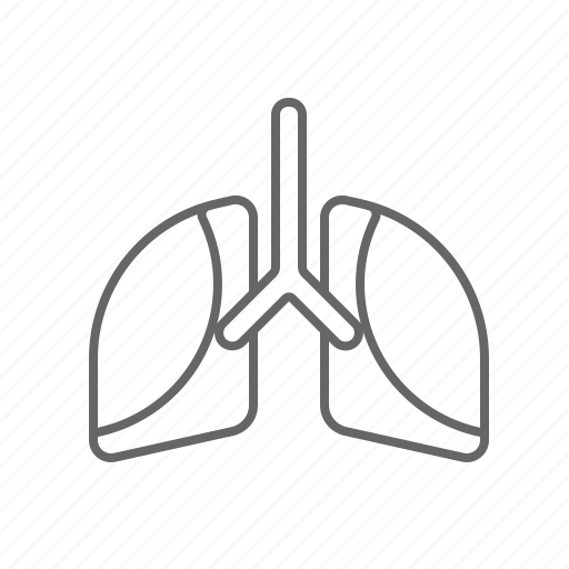 Healthcare, lungs, respiratory icon - Download on Iconfinder