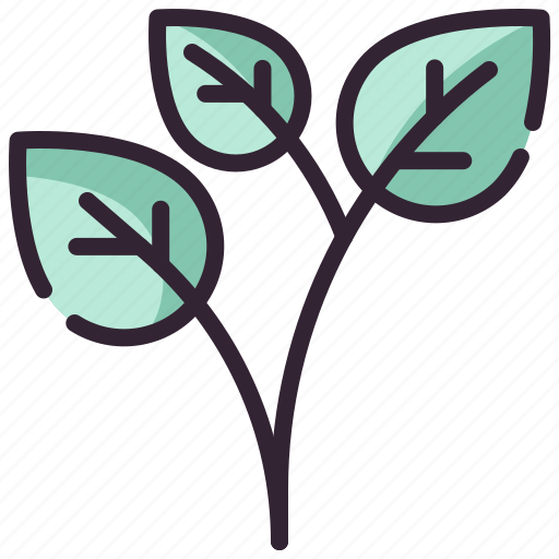 Tea, leaf, leaves, plant icon - Download on Iconfinder
