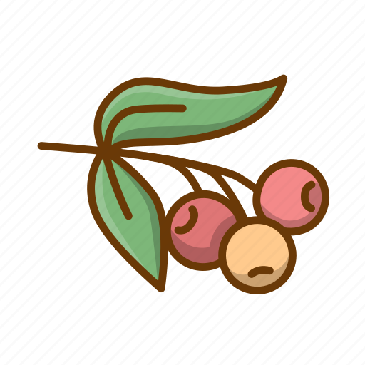 Coffee, coffee beans, coffee plant, coffee tree icon - Download on Iconfinder