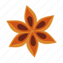 star anise, plant, nature, flower, leaf, spice