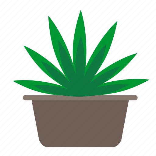 Cannabis, home, leaves, plant icon - Download on Iconfinder