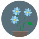 blue, bud, plant, round