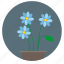 blue, bud, plant, round 