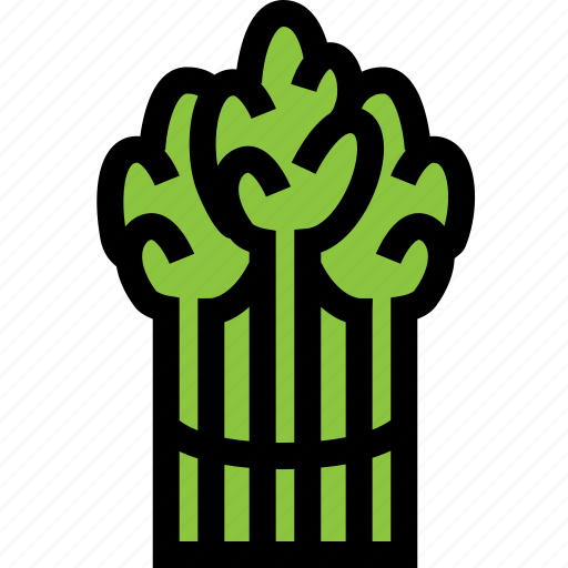 Asparagus, food, fresh, healthy, vegetable icon - Download on Iconfinder