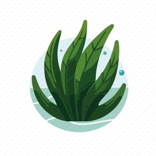 Seaweed, algae, green algae, aquatic plant, sea lettuce, algae bloom, kelp icon - Download on Iconfinder