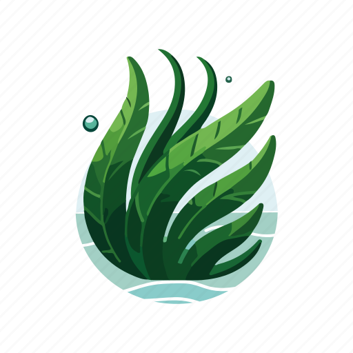 Seaweed, algae, aquatic plant, macroalgae, underwater plant, kelp icon - Download on Iconfinder
