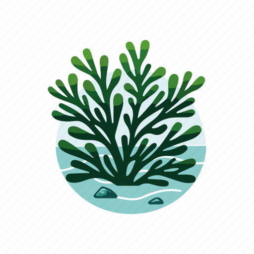 Seaweed, algae, aquatic plant, algae bloom, green algae, underwater algae, kelp icon - Download on Iconfinder