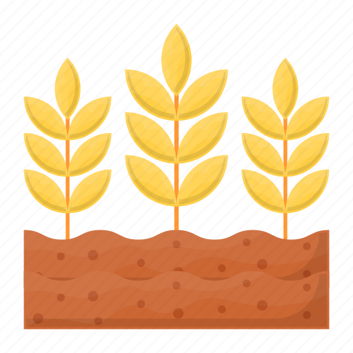 Barleys, wheat, cultivation, harvest, grain, growth icon - Download on Iconfinder