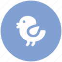 flying bird, microblog, social media, software, twitter bird, twitter logo, twitter sign