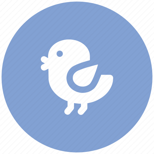 Flying bird, microblog, social media, software, twitter bird, twitter logo, twitter sign icon - Download on Iconfinder
