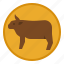 meat, cow, beef, farming, animal 